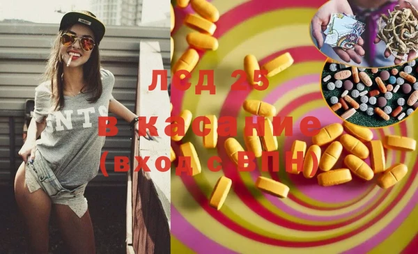 стаф Баксан
