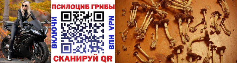 как найти наркотики  shop состав  Псилоцибиновые грибы MAGIC MUSHROOMS  Соликамск 